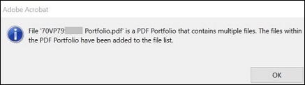Portfolio PDF Warning Message