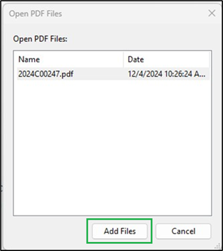 Screenshot of portfolio PDF file name and "Add Files" button