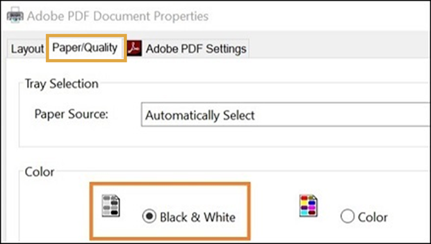 Screenshot identifying the "Paper/Quality" tab and the "Black & White" option
